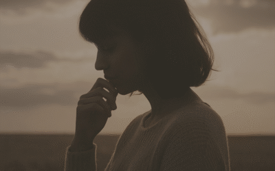 Grenzen als systeemlogica